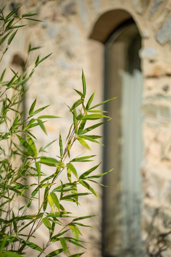 Domaine De Merlac Rieussec Bagian luar foto